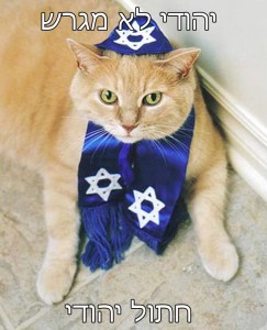 חתול לא מגרש חתול יהודי