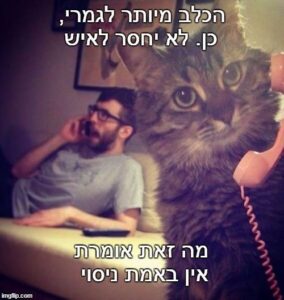 חתול כלב הרשות למלחמה בסמים